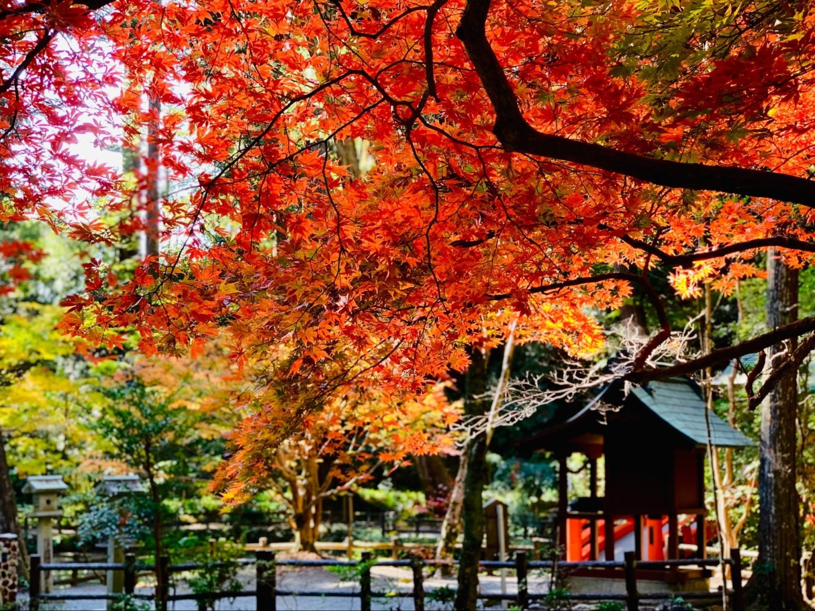 8/9 その他写真5