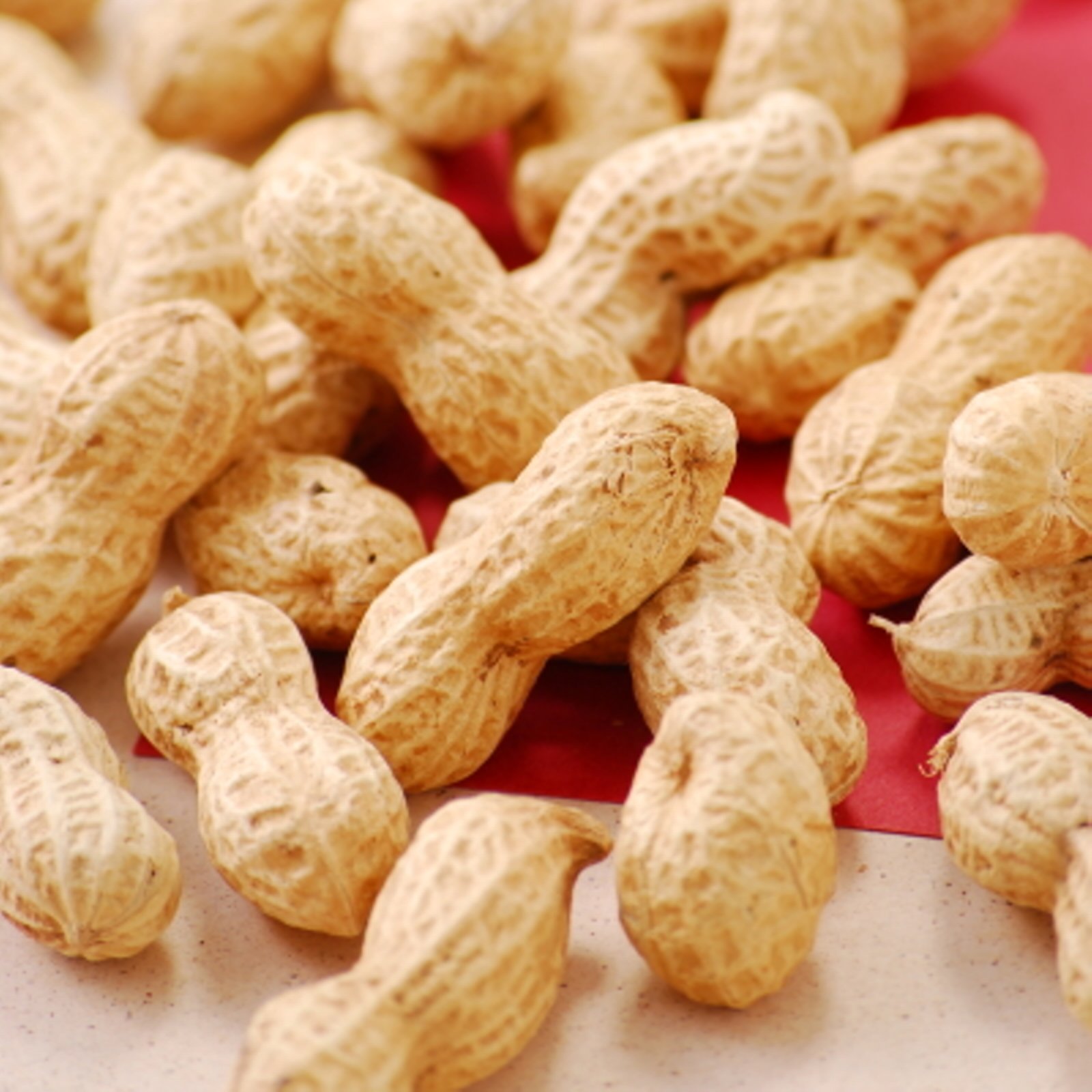 9/9 その他写真6