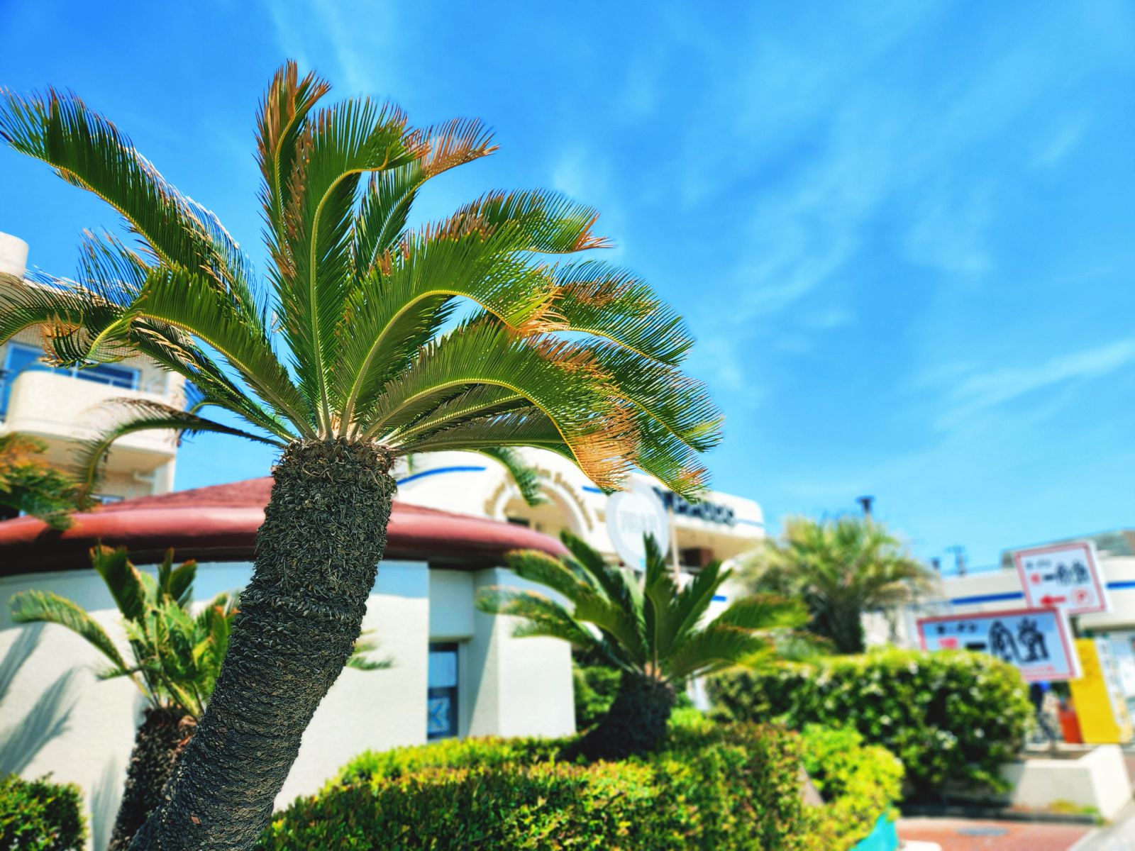 9/9 その他写真6