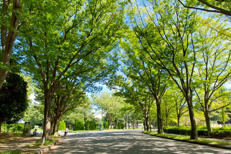 9/9 その他写真6