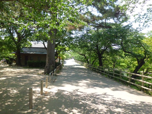 9/9 その他写真6