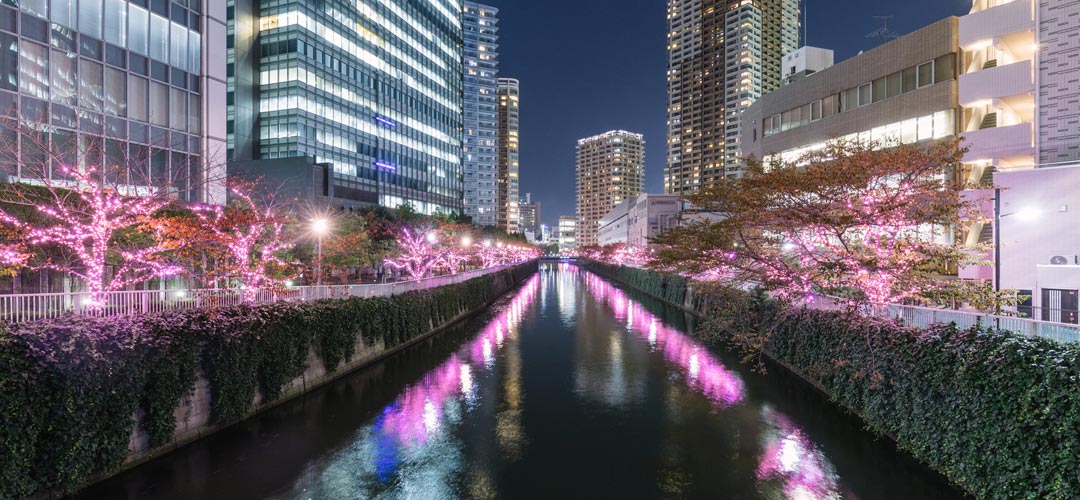 9/9 その他写真6