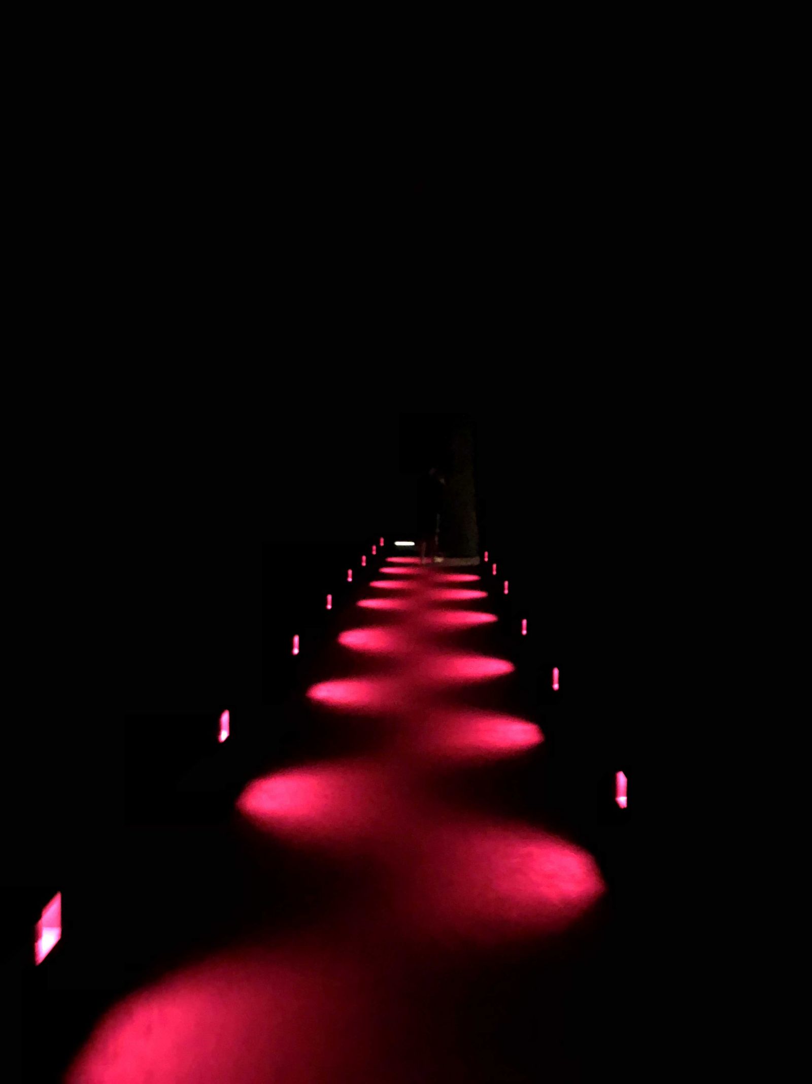 9/9 その他写真6