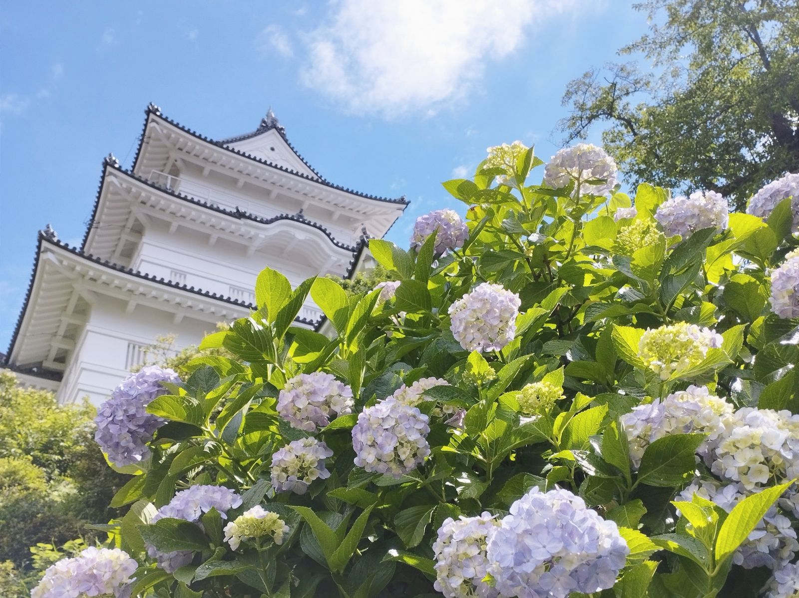 9/9 その他写真6