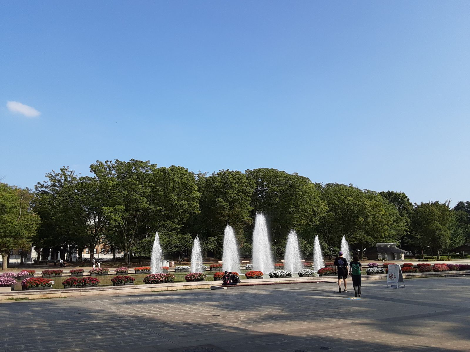 9/9 その他写真6