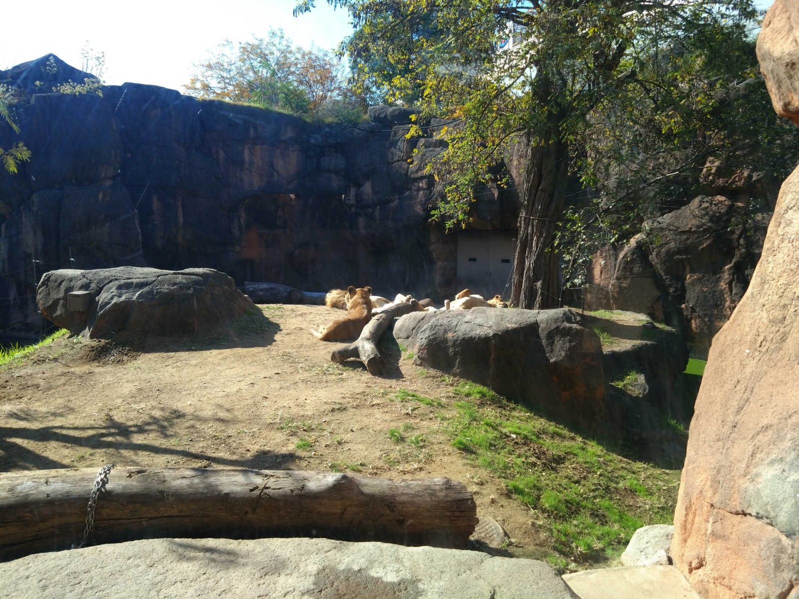 9/9 その他写真6