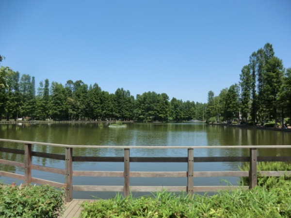 9/9 その他写真6