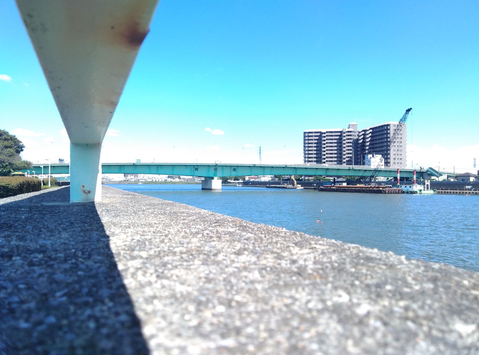 9/9 その他写真6