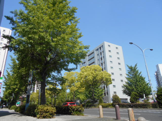 9/9 その他写真6