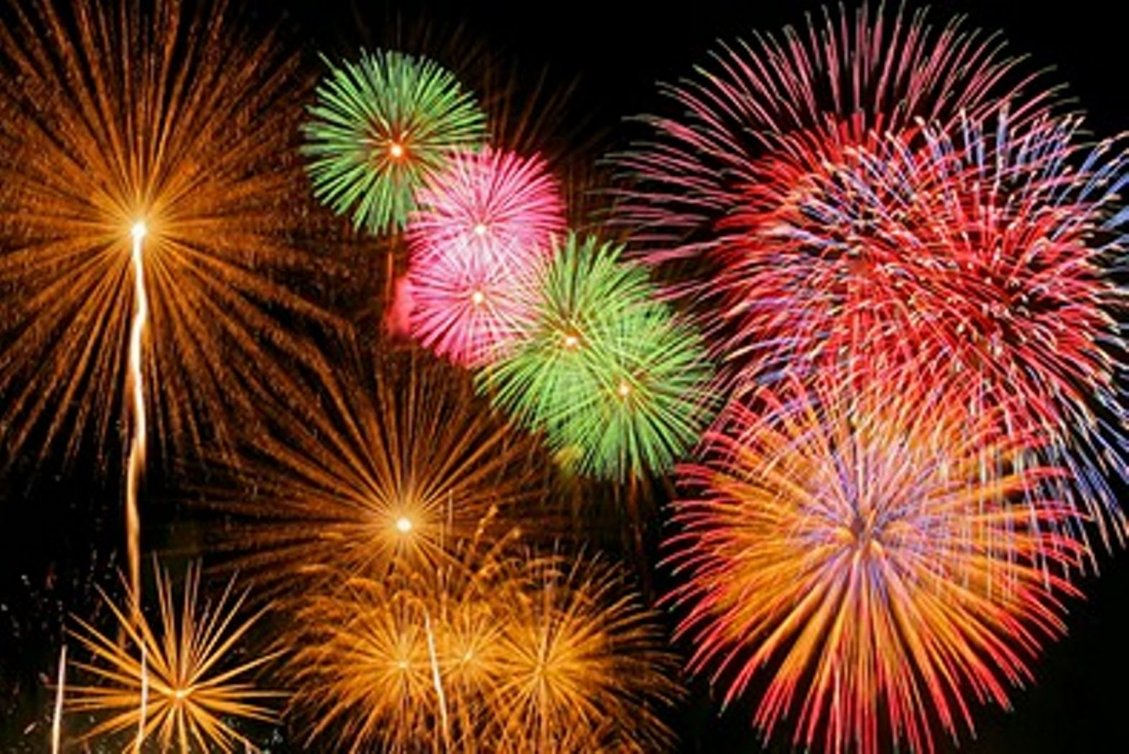 9/9 その他写真6