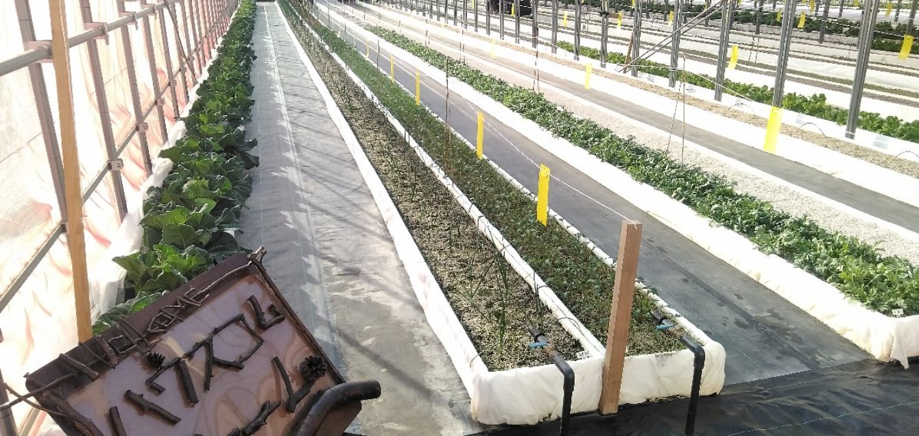 9/9 その他写真6