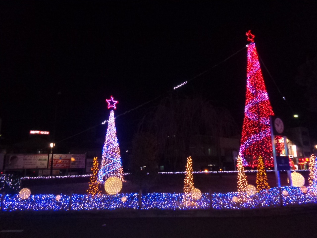 9/9 その他写真6