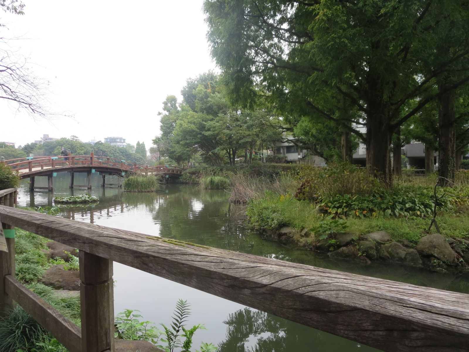 9/9 その他写真6