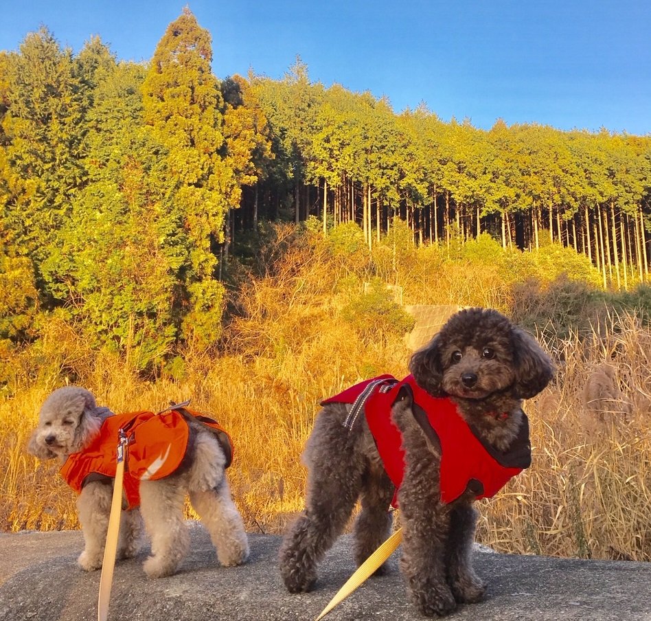 9/9 その他写真6