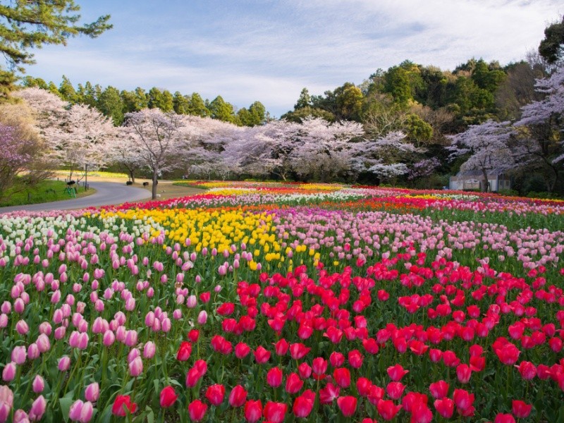 9/9 その他写真6